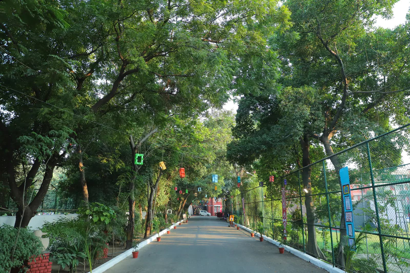 Tree-lined approach to Salwan Public School, Mayur Vihar