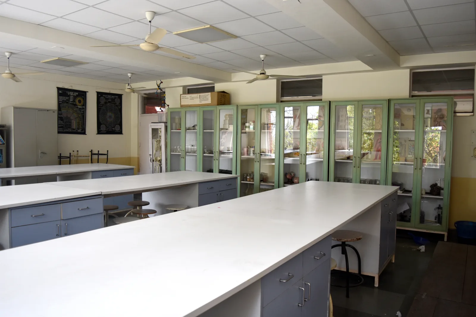 Students at work during a practical session in the biology laboratory