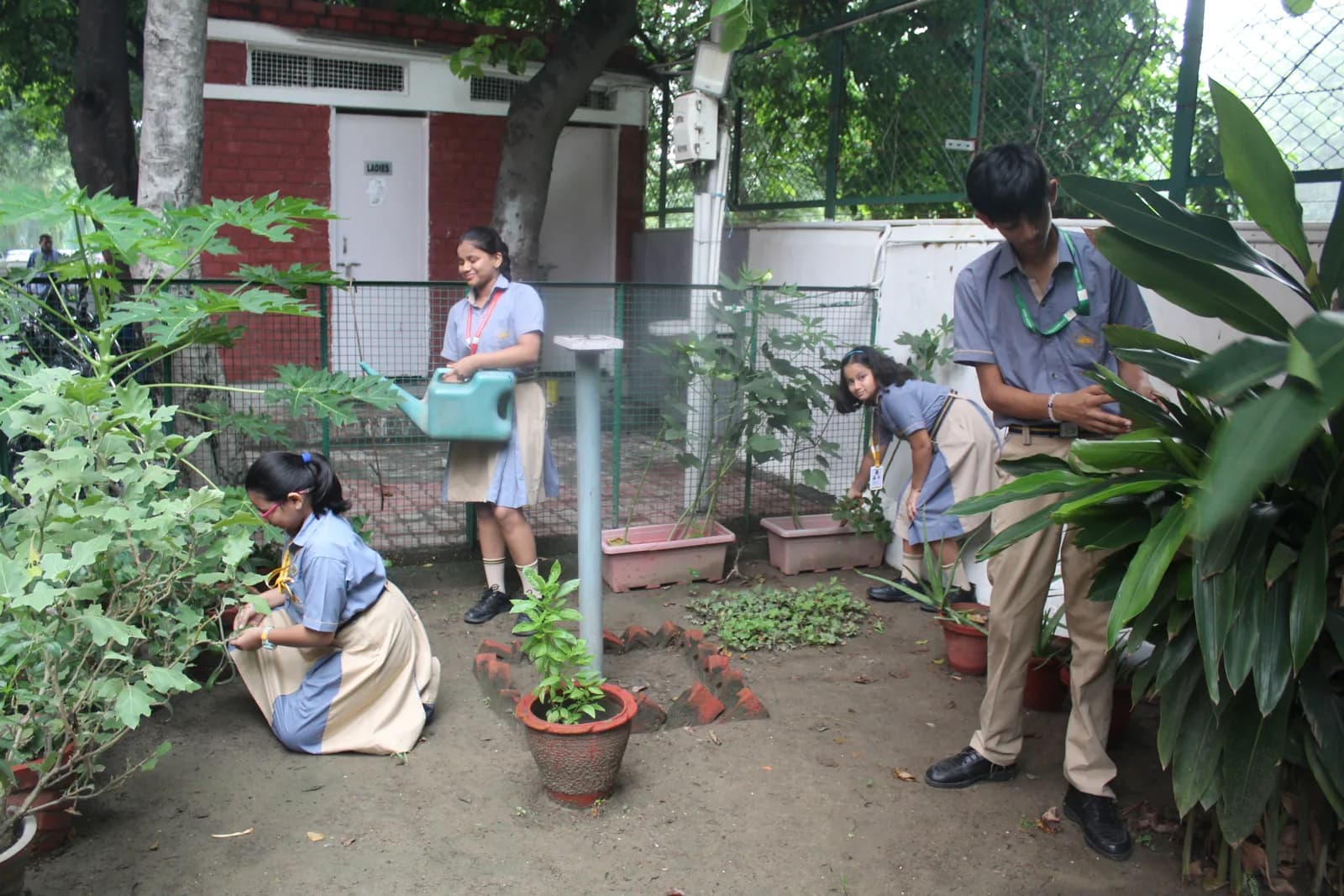 Herbal and botanical garden maintained on the campus